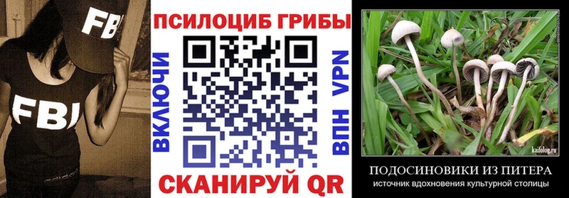 omg рабочий сайт  Серпухов  Псилоцибиновые грибы прущие грибы 